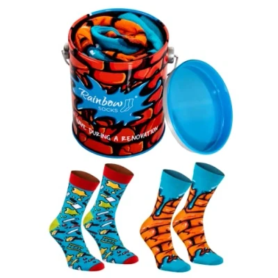 Afbeelding van Rainbow Socks Sokkenkleur voor dames en heren, 2 paar, verfdoos