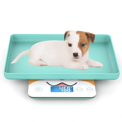 Afbeelding van MINDPET MED Digitale mini weegschaal voor huisdieren, pasgeborenen en kleine dieren, 0,03 oz precisie, 33 kg capaciteit, vijf schakelbare eenheden, blauw