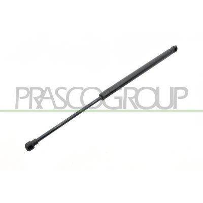 Afbeelding van PRASCO AA2109055 Gasveer achterklep 320 465 Links achter, Rechts achter