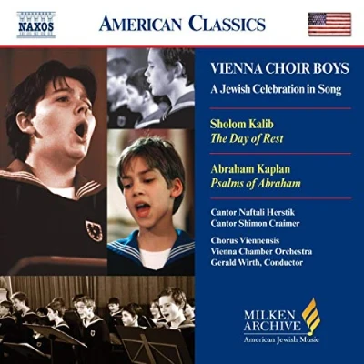 Afbeelding van Vienna Boys Choir A Jewish Celebration In Song (CD)