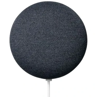 Afbeelding van Google Nest Mini charcoal GA00781