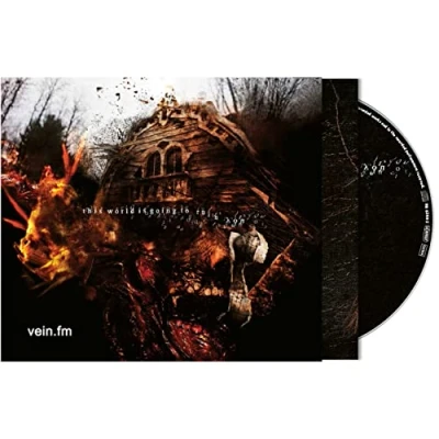 Afbeelding van Vein.Fm This World is Going To Ruin You (LP)