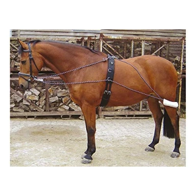 Afbeelding van Harry&#039;s Horse Longeerhulpteugel Pony