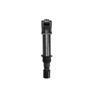 Afbeelding van ENGITECH ENT960049 Bobine 2 12 DODGE: Ram 1500 Pickup
