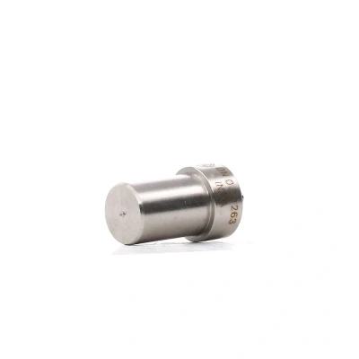 Afbeelding van Bosch Verstuiver/Injector 0 434 250 125