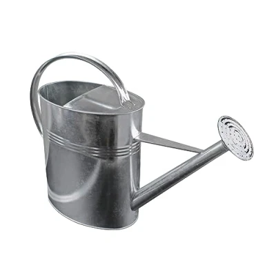 Afbeelding van Gegalvaniseerde tuingieter voor binnen en buiten 10 liter Metalen gieter met afschroefbare douchekop Weerbestendige nostalgische zink handdouche