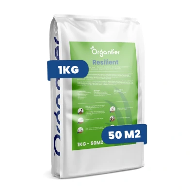 Afbeelding van Organifer Speelgazon Graszaad Resilient (1 kg voor 50 m2)