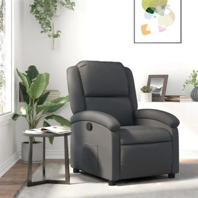Afbeelding van Fauteuil echt leer grijs