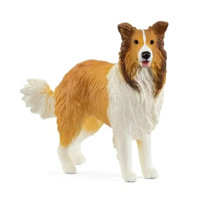 Afbeelding van Collie