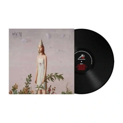 Afbeelding van Mantar Post Apocalyptic Depression (LP)