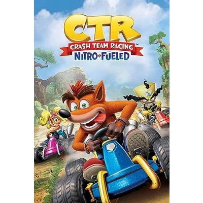 Afbeelding van [Merchandise] Hole in the Wall Crash Bandicoot Maxi Poster