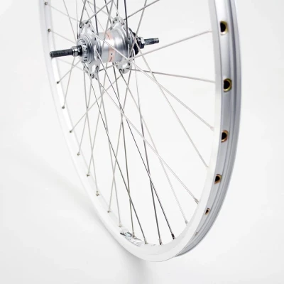 Afbeelding van Roland achterwiel 28 Nexus 3 RB ZAC2000 zilver RVS spk