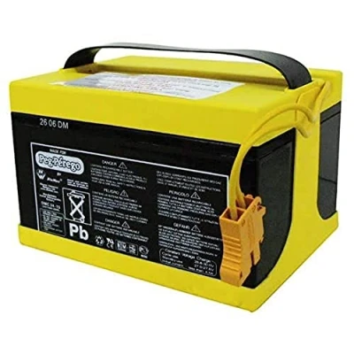 Afbeelding van Peg Pérego Accu 24 Volt/8 Ah