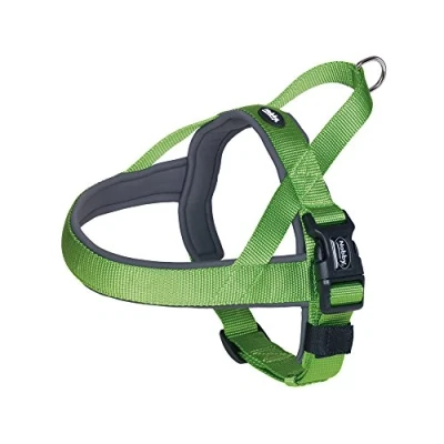Afbeelding van Nobby tuig classic preno groen 38 50 cm