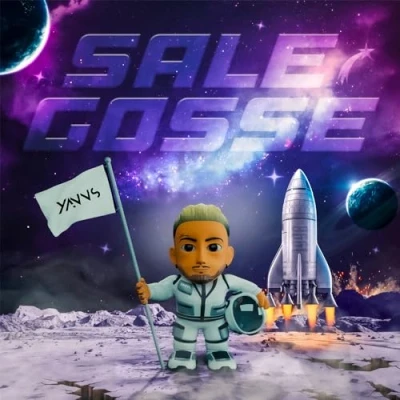 Afbeelding van Yanns Sale Gosse (CD)