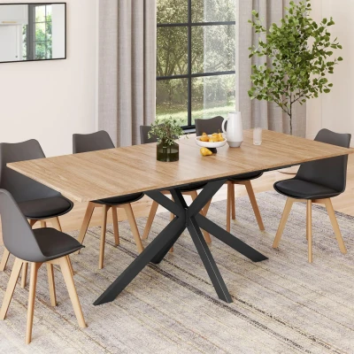 Afbeelding van Table à manger extensible ALIX 6 10 personnes bois et noir 160 200 cm