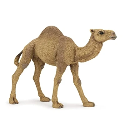 Image de Papo 50151 Figurine Animaux Dromadaire