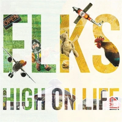 Afbeelding van Flks High On Life (LP)