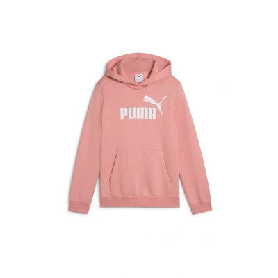 Afbeelding van Puma Hoodie voor kinderen, Maat: 176, Pink fruit