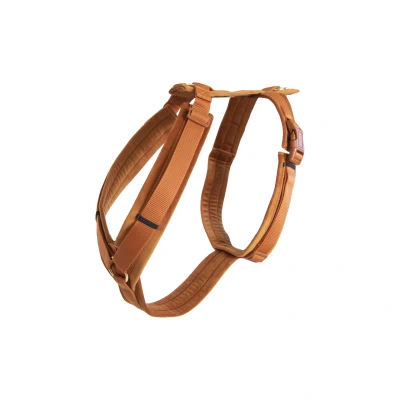 Image de Kentucky Harnais Active velours Orange