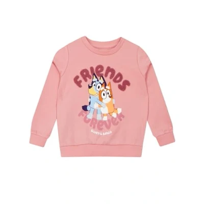 Afbeelding van Bluey trui meisjestrui voor kinderen Bingo meisjes, Roze