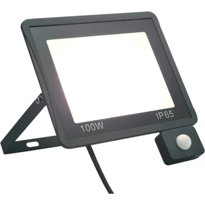 Afbeelding van vidaXL Spotlight met sensor LED 100 W koudwit
