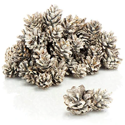 Afbeelding van COM FOUR® 30 x dennenappels in wit als kerstdecoratie kegeldecoraties kerstdecoraties (30 stuks wit)