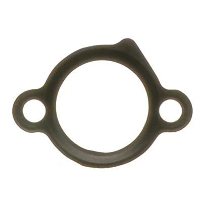 Afbeelding van Ajusa Kettingspanner pakking 00974000
