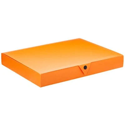 Afbeelding van Viquel Class Doc opbergdoos, polypro, rug, 40 mm, oranje