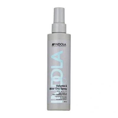 Image de Indola Care &amp; Style Volume Blow Dry Spray 200 ml