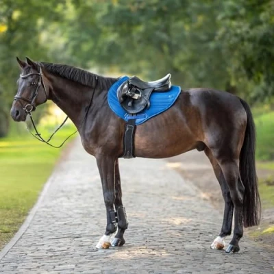 Image de Busse Saddlepad 3D Air Effect