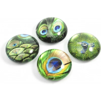Afbeelding van Trendform Magnet Eye Pauw set van 4 verschillende