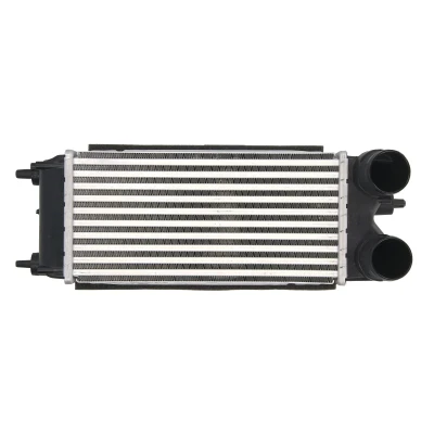 Afbeelding van THERMOTEC DAG018TT Intercooler FORD: FIESTA 6, 6 Van