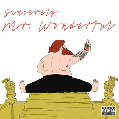 Afbeelding van Mr Wonderful