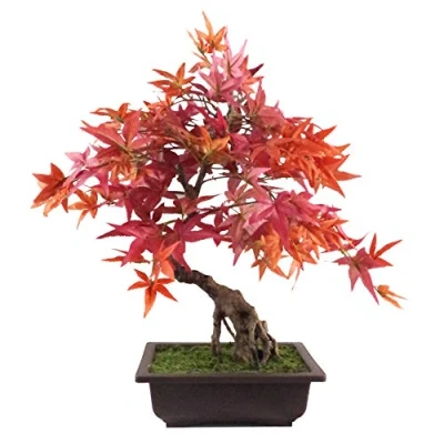 Afbeelding van Leaf Kunstmatige bonsai esdoorn rood 50 cm