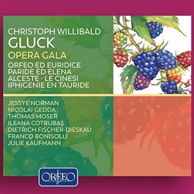 Afbeelding van Various Artists Opera Gala (2 CD)