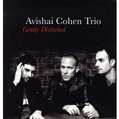 Afbeelding van Avishai Cohen Gently Disturbed