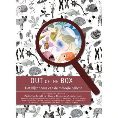 Afbeelding van Out of the Box