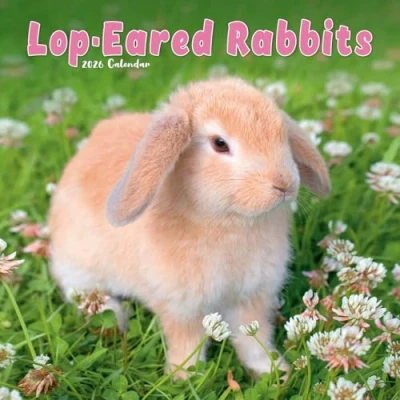 Afbeelding van Lop Eared Rabbits Kalender 2025 2026