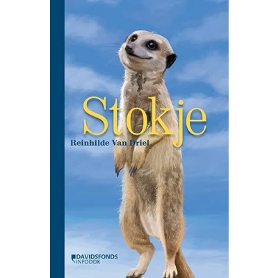 Afbeelding van Stokje