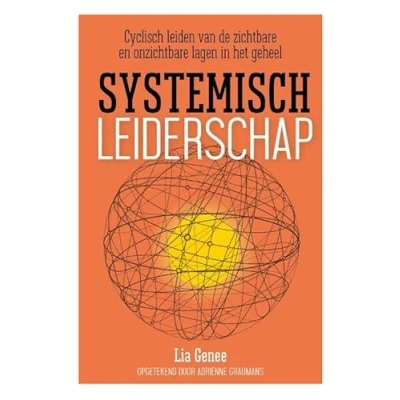 Afbeelding van Systemisch leiderschap