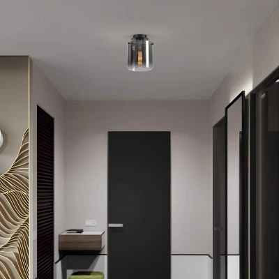 Afbeelding van Zweden plafondlamp, zwart/rookgrijs, 1 lamp, staal, glas