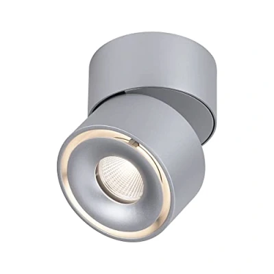 Image de Paulmann Spircle Spot en Saillie Matt Chrome