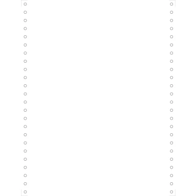 Afbeelding van Exacompta 62531E LIST.240X12&quot; 1 PLI 8