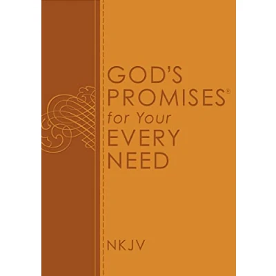 Afbeelding van God&#039;s Promises for Your Every Need