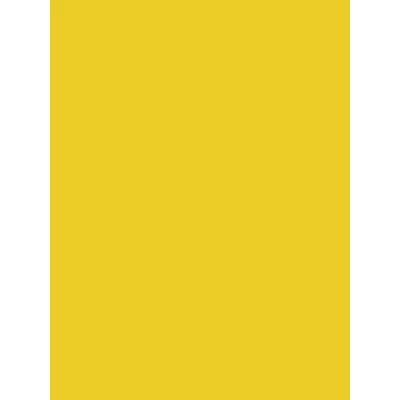 Afbeelding van Clairefontaine 384516C Set van 25 vellen posterpapier, 60 x 80 cm, 90 g, geel, 1 pak