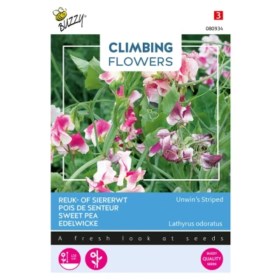 Afbeelding van Flowering climbers lathyrus unwin&#039;s striped Buzzy