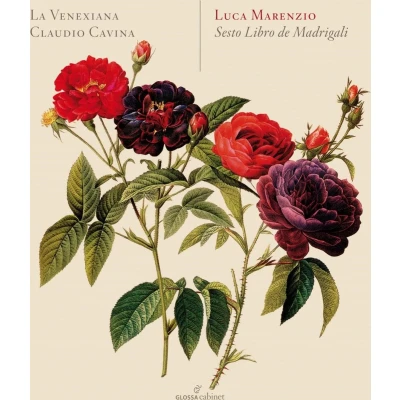 Afbeelding van Sesto Libro De Madrigali (CD)