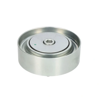 Afbeelding van DAYCO APV1103 Geleiderol