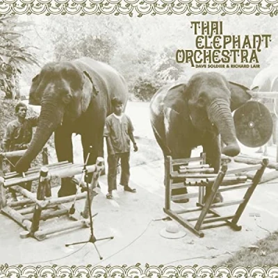 Afbeelding van Thai Elephant Orchestra (LP)